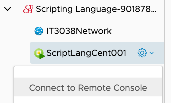 Screenshot of Sandbox connect to console dropdown for CentOS