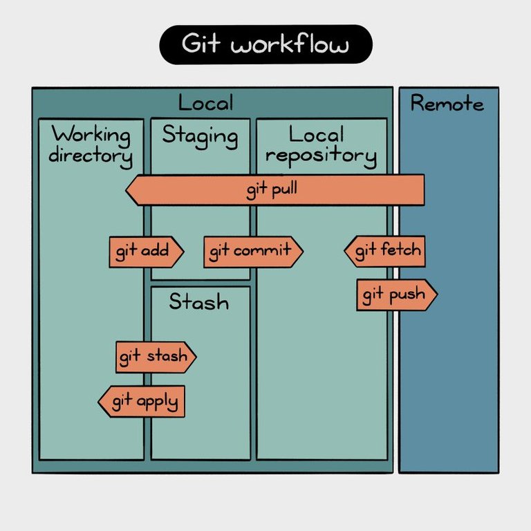 Git Workflow